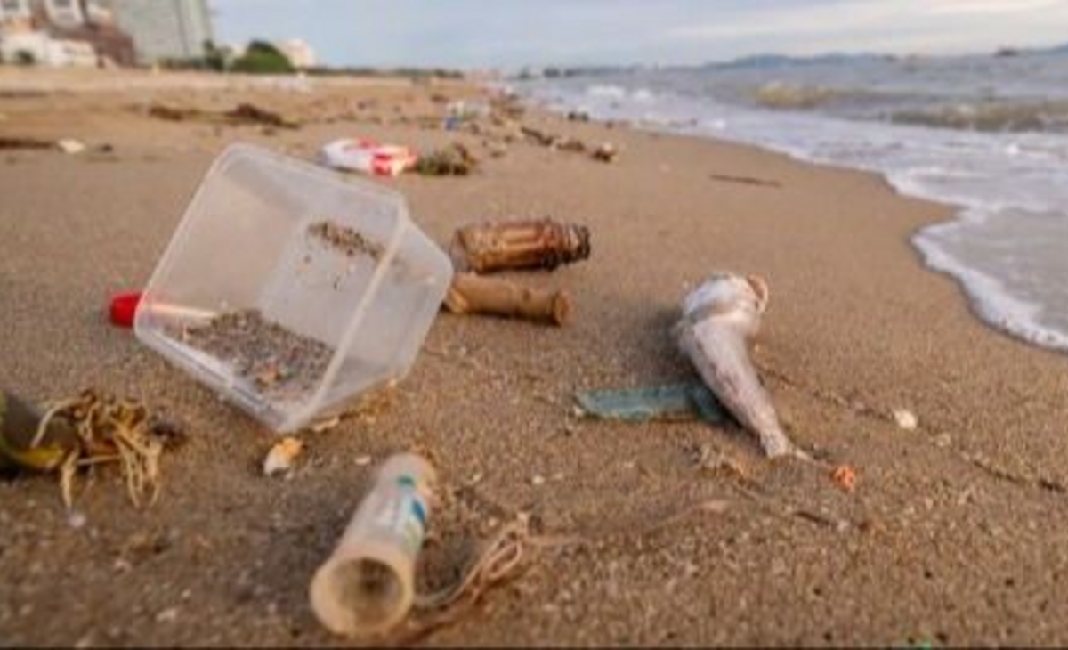 El 80% de la basura en las playas bonaerenses son plásticos